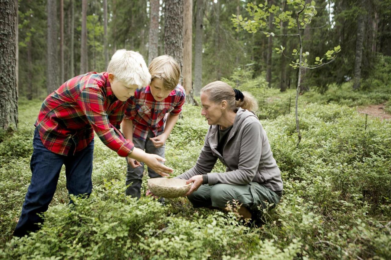 Stf Kolarbyn Eco-Lodge Skinnskatteberg Kültér fotó